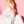 Load image into Gallery viewer, 015 // LOLITA JSK