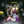 Load image into Gallery viewer, 026 // WITCH + WIZARD