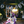 Load image into Gallery viewer, 030 // TAAKO + THE ADVENTURE ZONE