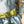 Load image into Gallery viewer, a8bd5a15-90e4-4f7d-bf63-749894f8094b