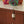 Load image into Gallery viewer, bandicoot-leaf-hold-399w-600t