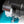 Load image into Gallery viewer, cp3000-highlight