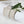 Load image into Gallery viewer, HUSQVARNA® VIKING® EMERALD™ 116 Sewing Machine
